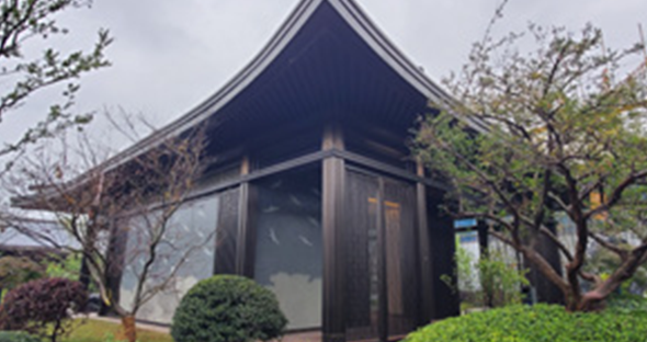 養(yǎng)云6